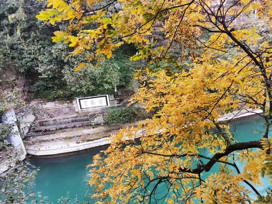 1-Day Mount Qingcheng and Dujiangyan Irrigation System Tour - Key points I’d bank on