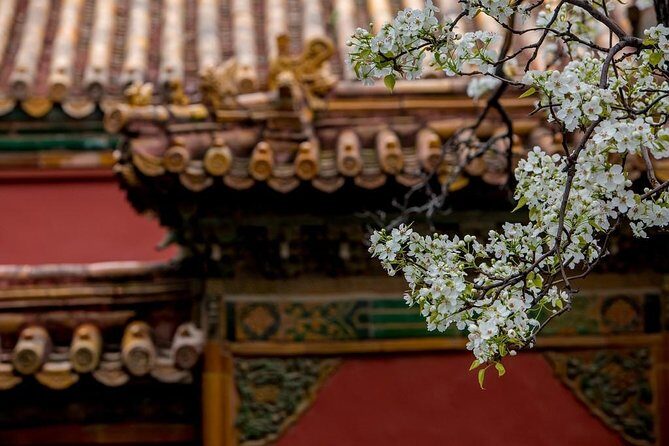 3-Day Private Beijing Tour with Forbidden City, Great Wall, Hutong and Lunch - Price and logistics: does $518 per person feel fair?