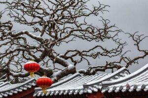 4-Hour Private Forbidden City Walking Tour with Bird's ViewOption - Inside the palace: what your guide should make clear