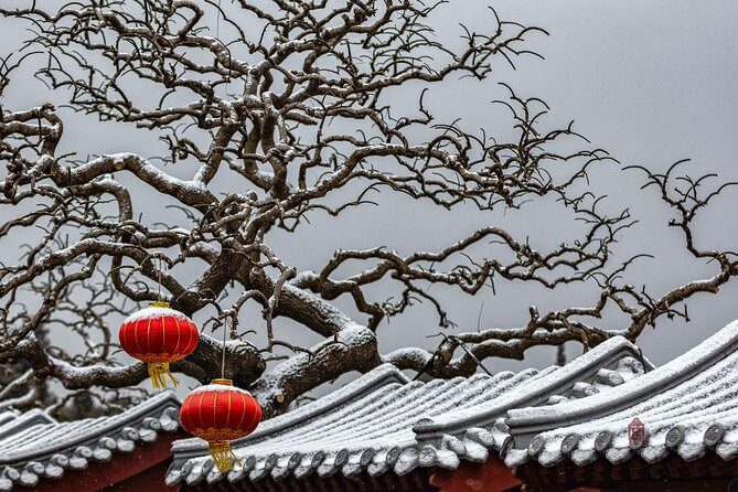 4-Hour Private Forbidden City Walking Tour with Bird's ViewOption - Inside the palace: what your guide should make clear