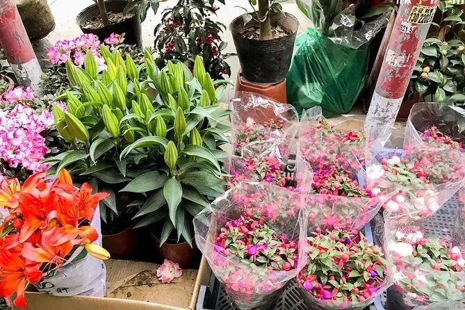 6-Hour Private Beijing Tour: Flower and Fish Market, Panjiayuan Antique Market and 798 Art Zone - The Private Guide Factor: It’s Not Just Translation