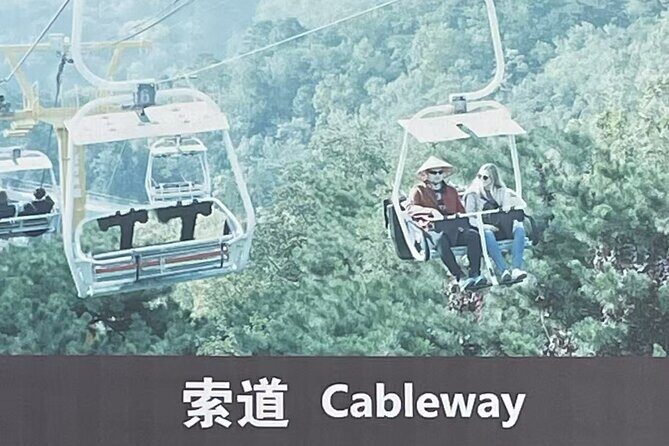 Airport or Hotel Transport to Mutianyu Great Wall - Car Comfort and Private Driver Service: Small Details That Add Up