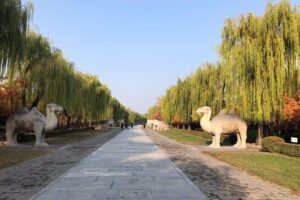 All Inclusive Private Tour: Juyongguan Greatwall, Sacred Road, MingTombs - Morning Pickup and How the 8-Hour Timing Feels
