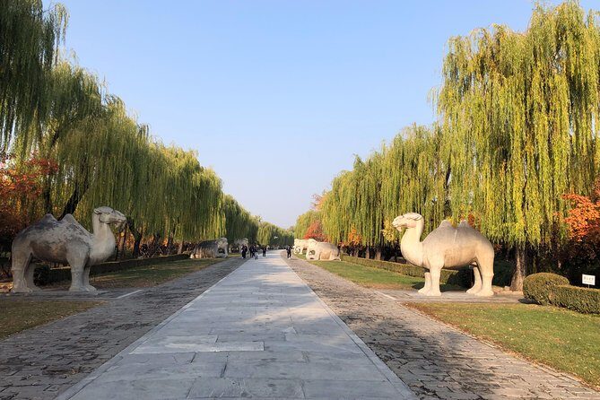 All Inclusive Private Tour: Juyongguan Greatwall, Sacred Road, MingTombs - Morning Pickup and How the 8-Hour Timing Feels