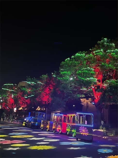 Badaling Great Wall Night Tour+ Light Show + Performance - The light show: how to enjoy it without feeling lost