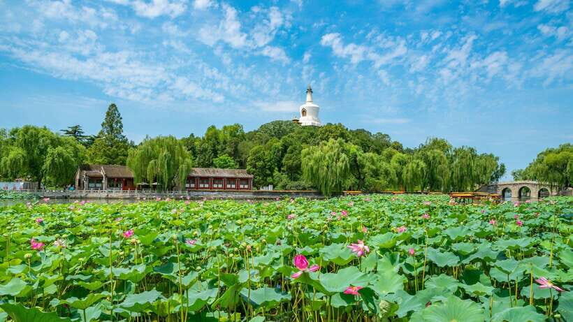Beijing: Beihai Park Entry Ticket & English PDF Guidebook - Nine-Dragon Wall: Over 600 Dragons and a Very Specific Kind of Wonder