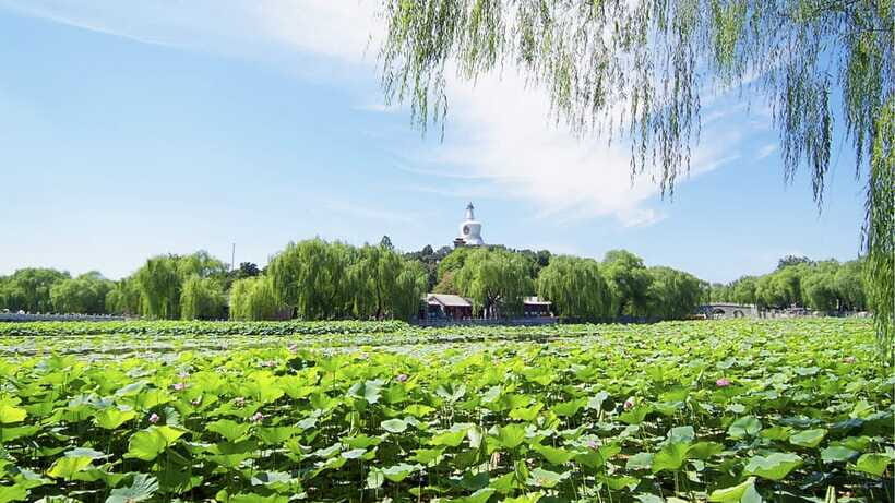 Beijing: Beihai Park Full Access Ticket - Must-See in China - A realistic 4-hour plan that doesn’t feel rushed