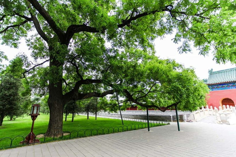 Beijing：Forbidden City Tour—Temple, Summer Palace&Great Wall - Group vs private tours: what changes besides the price tag