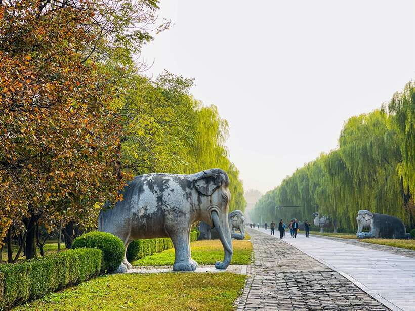 Beijing: Great Wall and Ming Tomb All-inclusive Private Tour - Why this Great Wall day feels easier than going solo
