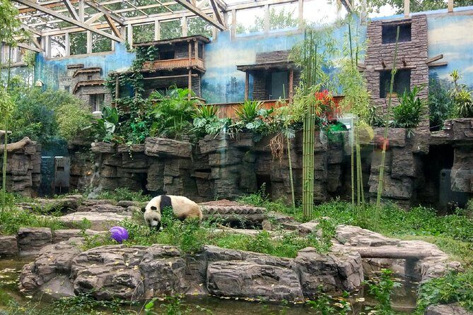 Beijing Half-Day Private Customized Tour: Visit Your Dream Spots - The time-saver that actually matters: pickup, AC car, and a guide steering