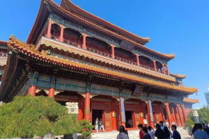 Beijing Half Day Tour : Temple of Heaven with Lama Temple - The Quick Trip Between Temples: Why the Car + Pickup Is Worth It