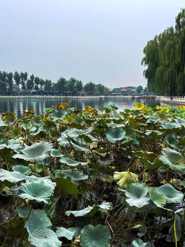 Beijing: Hutongs & Drum Tower City Walking Tour - Drum Tower square: stories in the space between towers