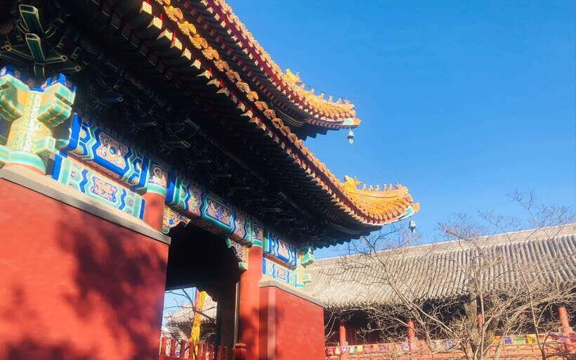 Beijing lama Temple Or Confucius Temple Tickets Reservation - Do you need a guide, or can you go solo with QR tickets?