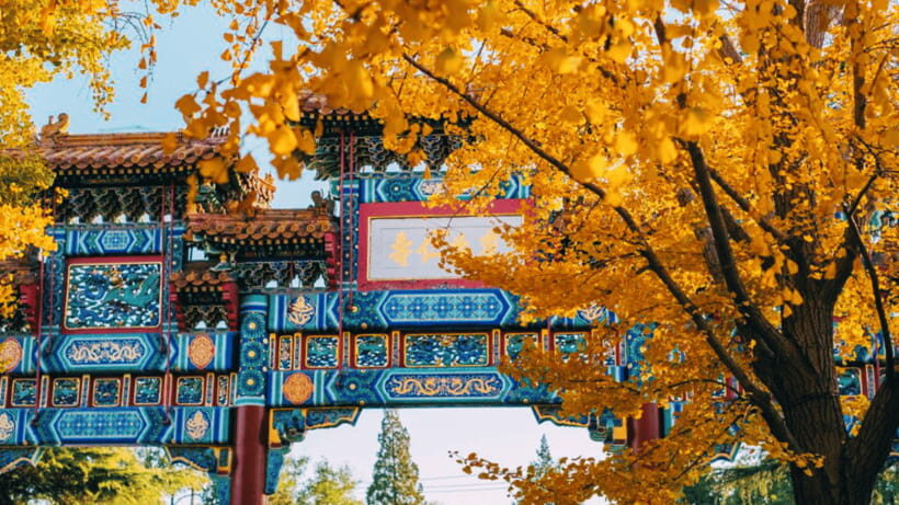 Beijing: Lama Temple (Yonghe Temple) Admission Ticket - The 18-meter sandalwood Buddha (Guinness-record famous): why it matters