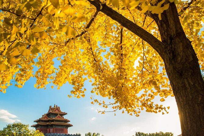 Beijing Layover Tour to Tiananmen Square and Forbidden City - The Forbidden City (Palace Museum): skip-the-line entry plus focused time