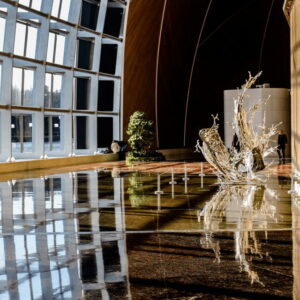 Beijing: Natinonal Center For The Peformance Arts Ticket - Meeting at the North Gate and planning your 4-hour visit