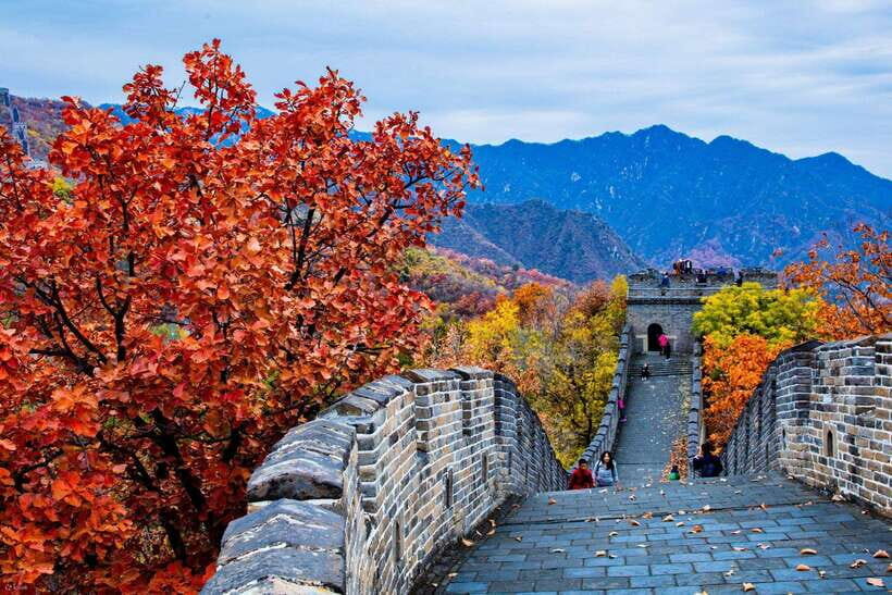 Beijing: Panda House w/Great Wall or City Sites Private Tour - Customized day after pandas: temples, Hutongs, markets, and 798