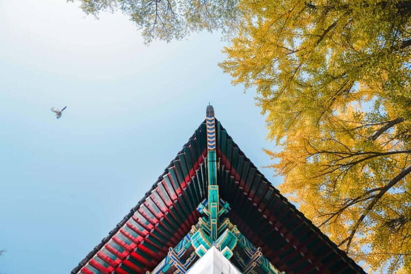 Beijing: Peking University Campus Guided Walking Tour - Route flow: starting at the East Gate, ending at the West Gate