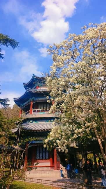 Beijing: Summer Palace Highlight Walking Tour - Hall of Benevolence and Longevity: Imperial History in Plain Sight