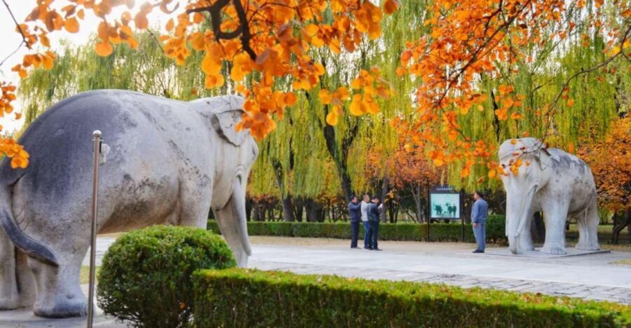 Beijing: Summer Palace, Sacred Road&Ming Tombs Private Tour - Dingling or Changling: choosing your Ming Tomb experience