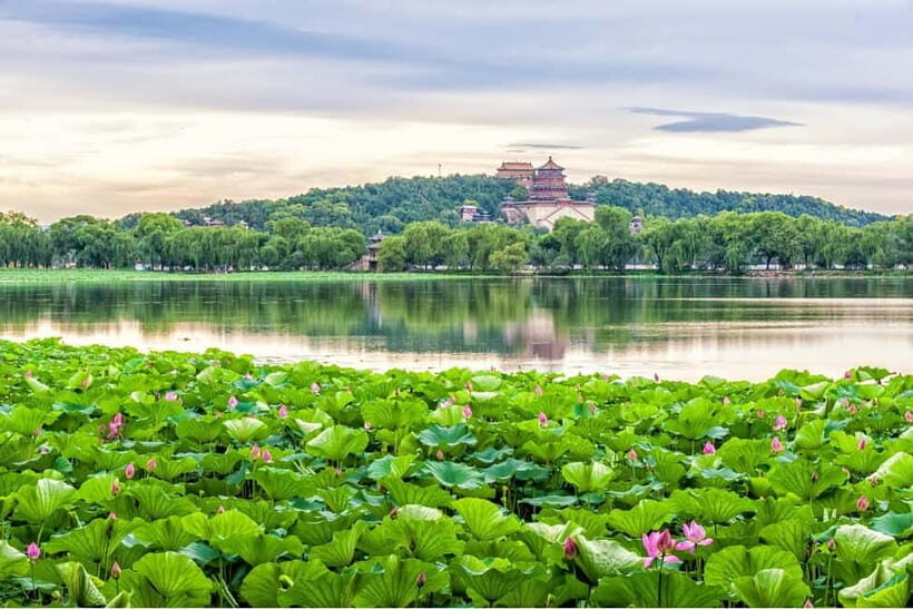 Beijing：Summer Palace & Tea or Calligraphy Experience Tour - Afternoon Choice 2: Chinese Calligraphy With Brush, Ink, Paper, and Inkstone