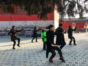 Beijing: Temple Of Heaven+Tai Chi Class+Tea Ceremony - The Taiji Kungfu class: calm focus you can actually feel
