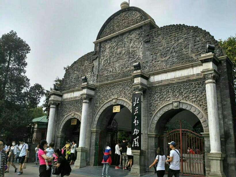 Beijing: The Beijing Zoo Entry Ticket with Pandas - Getting to Beijing Zoo: Subway Line 4 to Dongwu Yuan
