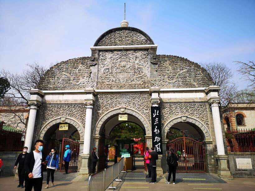 Beijing: The Beijing Zoo Entry Ticket with Pandas - Timing Tips: Getting the Most From a 3-Hour Visit