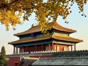 Beijing: The Forbidden City or Tiananmen Square Entry Ticket - Morning vs afternoon: picking the time that matches your energy