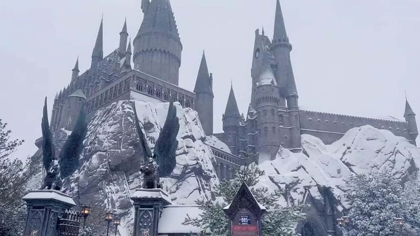 Beijing Universal studios 1 day private tour (opt) - Who This One-Day Private-Style Plan Fits Best