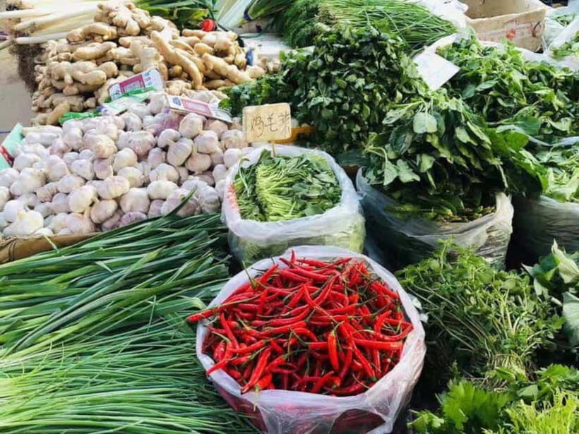 Beijing: Vegan Home Cooking & Local Market Tour with Sanxia - Meeting Near Tu Qiao, Ending Near Linhe Li: The Practical Flow