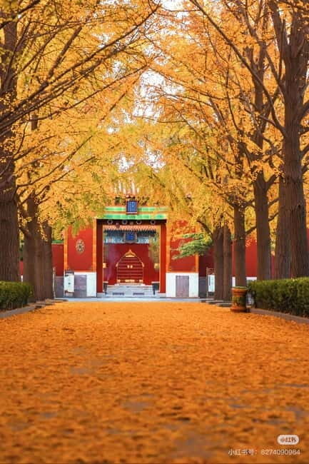 Beijing: Yonghe Lama Temple Tickets with guide (optional) - The Tibetan-Chinese design blend you can spot while walking