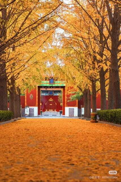 Beijing: Yonghe Lama Temple Tickets with guide (optional) - A note on rules: what you must bring and what you can’t do