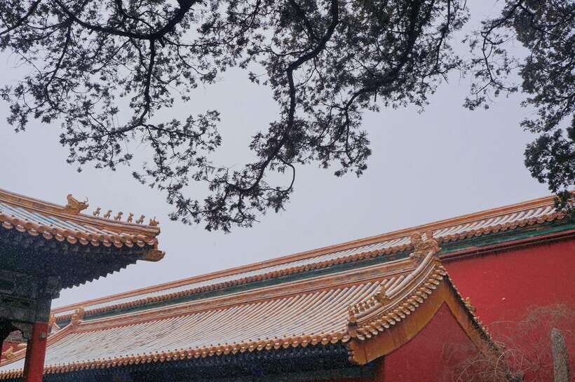 Beijing:Forbidden City & Tian'anmen Square with entry ticket - Price: does $30 per person make sense here?
