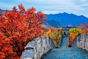 Beijing:Mutianyu/Badaling Great Wall Tour with VIP Fast Pass - Choose your Great Wall section: Mutianyu, Badaling, or the quieter Wall