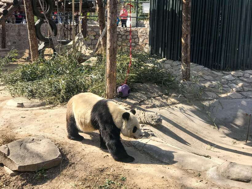 Beijing:Summer Palace Private/Group Tour or book Ticket Only - Summer Palace’s three-part plan: politics, quarters, and garden views