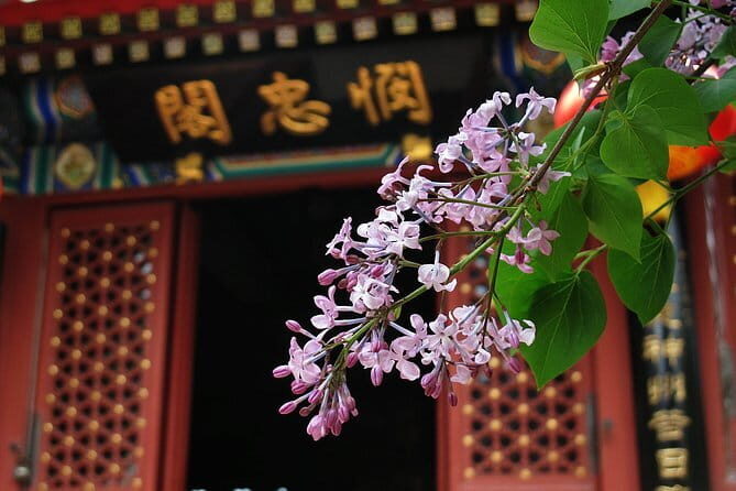 BusDa-Full-Day Bus Trips: Mutianyu, Summer & Old Summer Palaces - Should you book BusDa for Mutianyu + Summer Palace + Old Summer Palace?