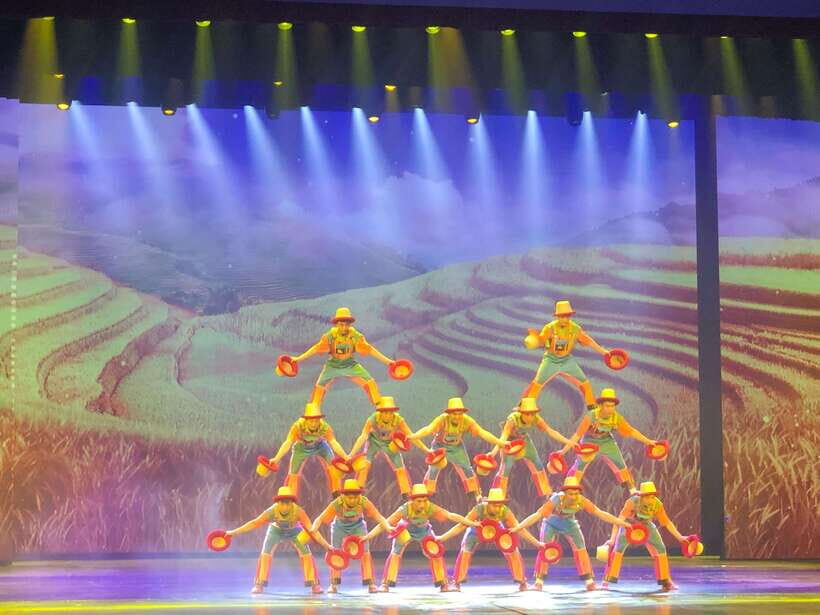 Chaoyang Acrobatics Ticket - Tickets and QR Confusion: How to Actually Get In