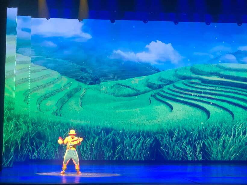 Chaoyang Acrobatics Ticket - Inside the Program: The Acts You’ll Want to Watch Closely