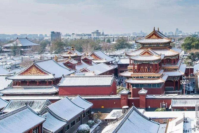 Dim Sum Breakfast&Tailored Beijing Highlights Tour-Pick Your Spot - Who should book this dim sum + temple combo?