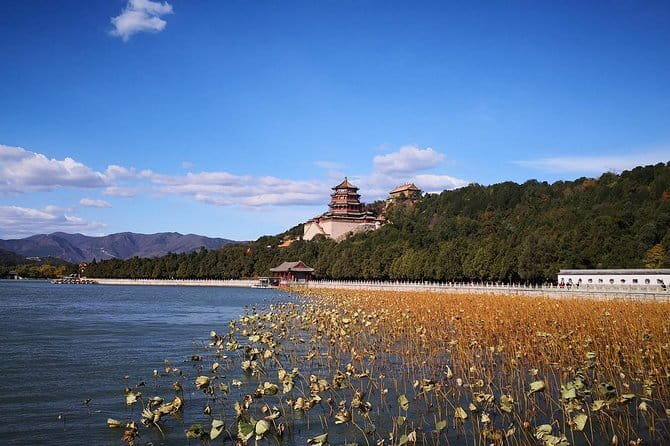 Forbidden City Ticket Booking - Inside the Forbidden City: pace, crowds, and realistic expectations