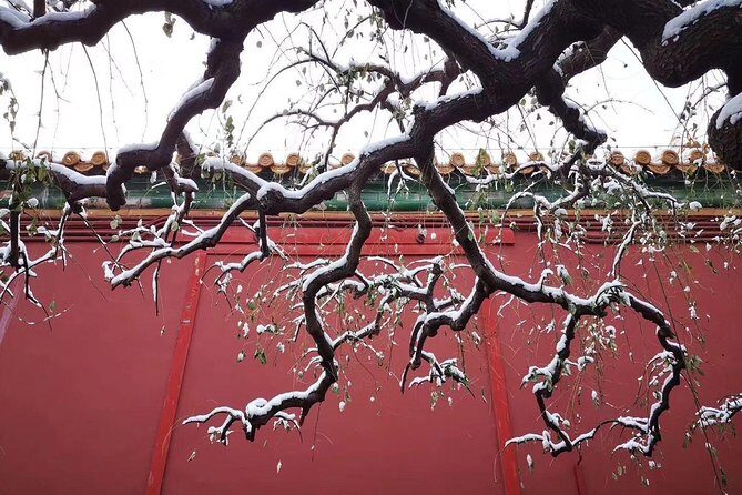 Half Day Beijing Group Tour to Tiananmen Square and Forbidden City - A half day that hits the big symbols fast