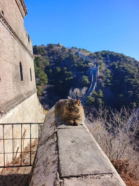 Mutianyu Great Wall Private Tour with English Driver - How the Day Stays Smooth: Meeting Points, Time Flexibility, and Little Helps