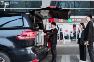Private Arrival Transfer from Beijing Airport to Hotel - Meet Your Driver at PEK or PKX Without Guesswork