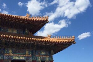 Private Beijing Walking Tour of the Forbidden City with 7 Options - Tiananmen Square: the story you want before the palace