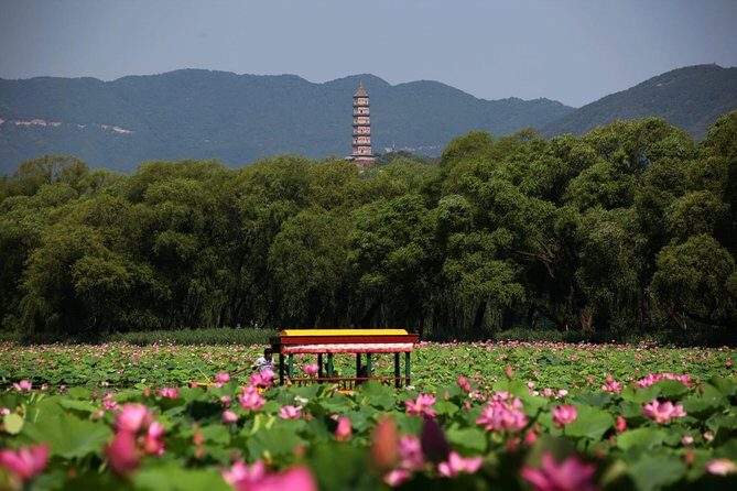 Private Day Tour: Summer Palace and Old Summer Palace in Beijing - Yulan Hall and the Hall of Happiness and Longevity: the royal living spaces