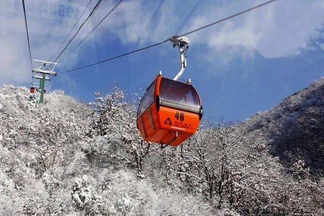Private Day Tour to Beijing Mutianyu Great Wall - What to expect on the day of the tour (timing and effort)