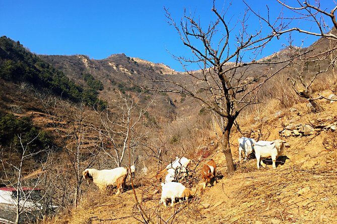 Private Great Wall Hiking Tour: Across The Border of 3 China Provinces - Private Guide and Door-to-Door Transfers: Comfort With a Purpose