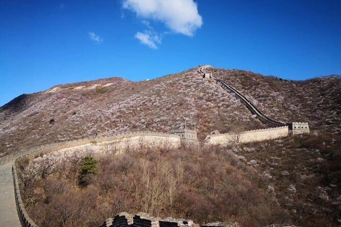 Private Layover Tour to Mutianyu Great Wall and Forbidden City - Price and value: is $208 a smart deal for this day?