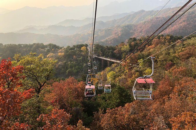 Private Layover Tour to Mutianyu Great Wall from Beijing Airport - What Happens After the Wall: Lunch, Tea Ceremony, and the Return